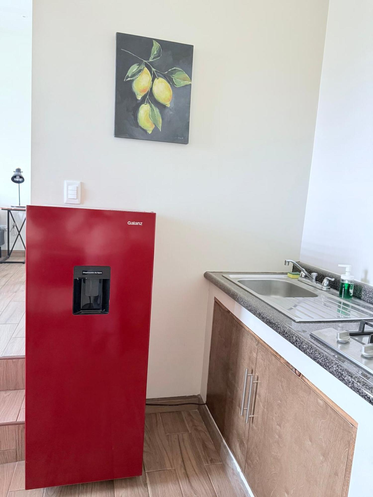 Cozy, Quiet & Pet Friendly Gated Patio Studio Ensenada Exterior foto